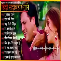 Old Hindi Love Song Udit Narayan ,Alka yagnik Kmar ,Sanu Sonu